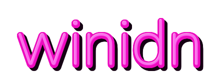 winidn — logo kanal